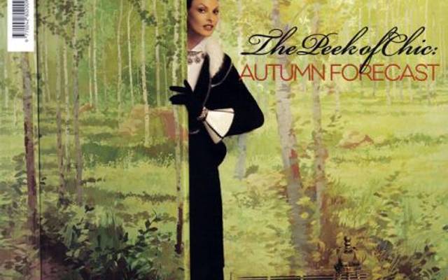 HARRY POTTER E EU QUERO ESSE NICHO