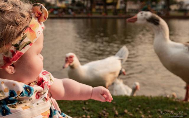 ◆O que devo levar a um ensaio Fotográfico?◆