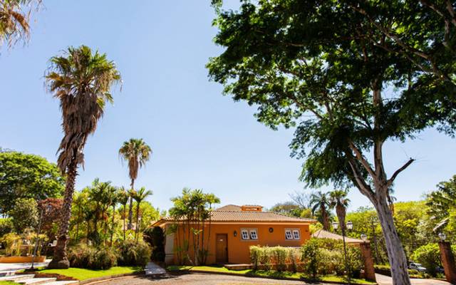 Porque meu jardim precisa de um projeto de paisagismo?