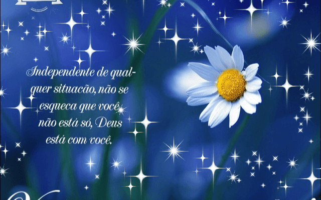 Você é mais que vencedor