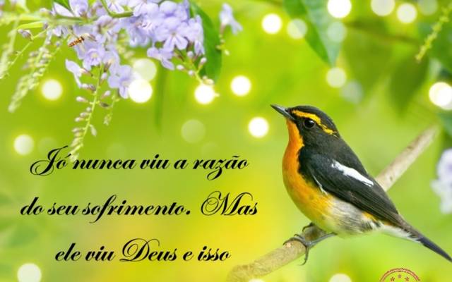 Aprenda a vencer com a história de Jó