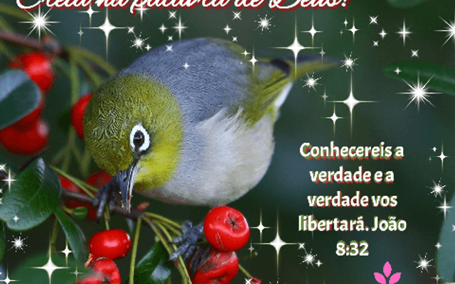 Visão do Mundo X Visão de Deus