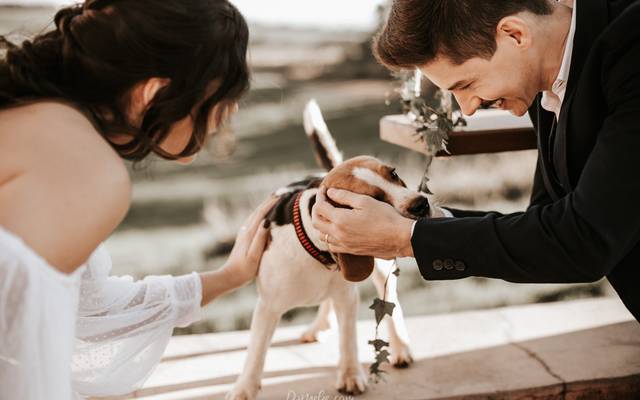 Casar no interior: conheça as vantagens