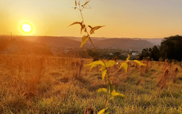 Quanto custa um terreno?