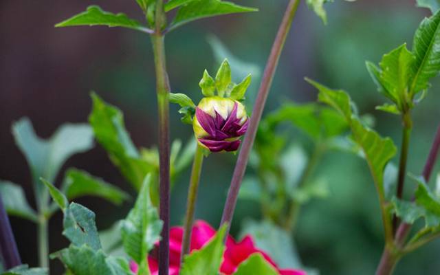 As fotos tiradas no dia 09 de dezembro 