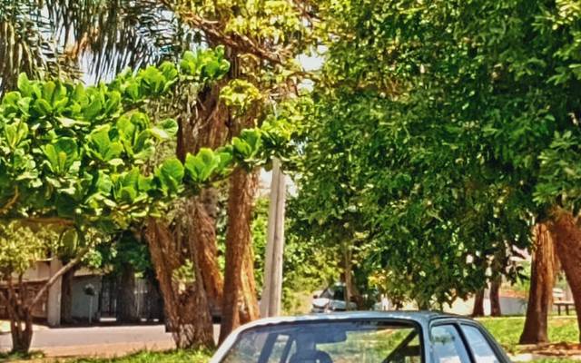 Aos caminhos que não quero seguir