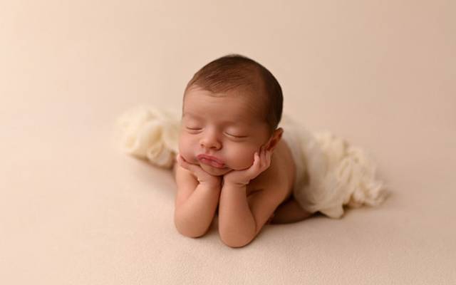 Proposta Newborn 2026