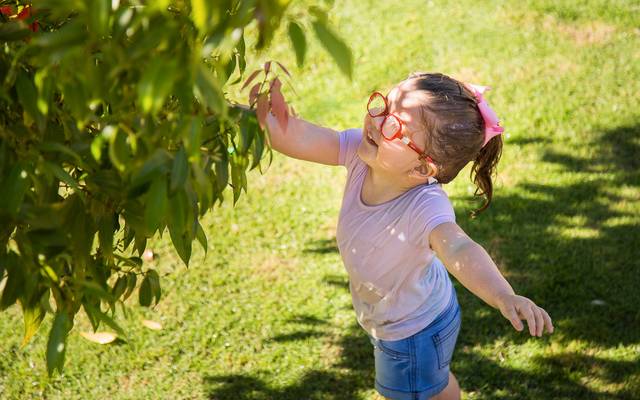 O bebê cresceu... e agora é muito difícil de fotografar...