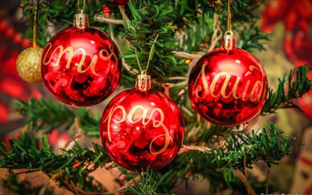 A magia de montar a Árvore de Natal em família