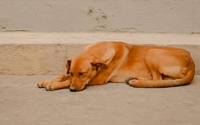 ESSA FOTO É PARA CHAMAR A SUA ATENÇÃO!!!