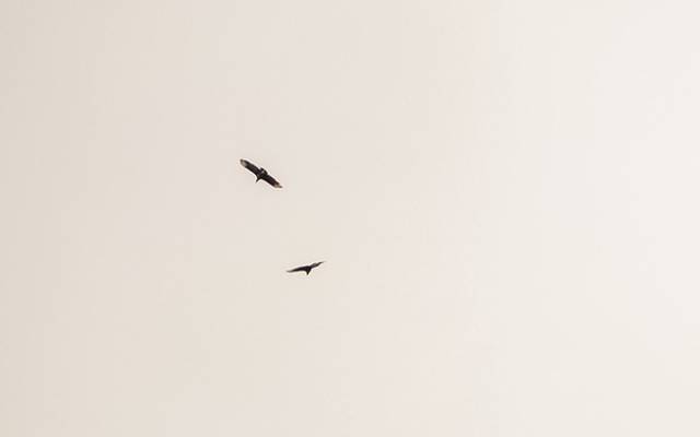 Decorar um ambiente é dar voz à alma da casa. É escolher detalhes que não apenas encantam os olhos, mas que também aquecem