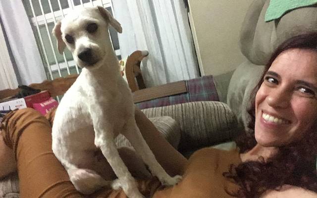 1 Ano de Ted Mosby