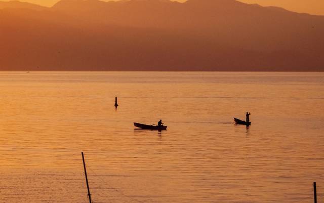 Despert-ando / en Catemaco