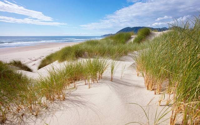 Oregon Coast Camping Near The Ocean