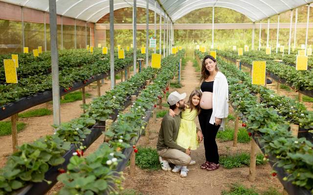 Ensaio de Família Morango do Vale