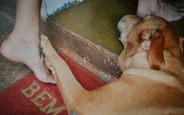 6 MOTIVOS PARA FAZER UM ENSAIO EM CASA