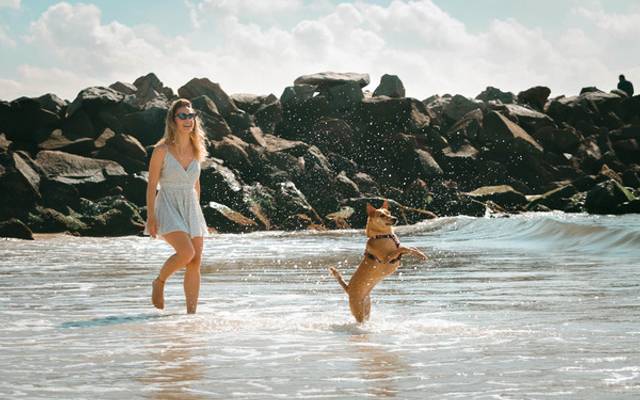 A arte de fotografar o estilo de vida de pessoas com seus pets