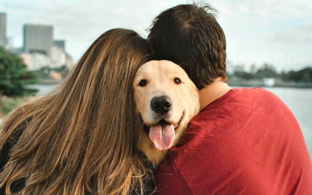 Você tem fotos com seu pet?