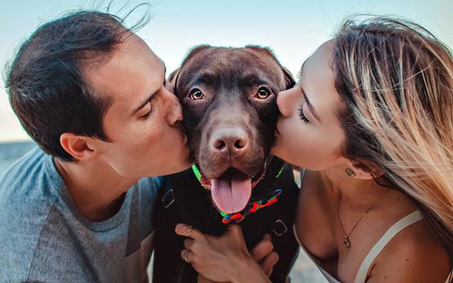 Da Inglaterra à Austrália: Minha jornada em competições internacionais de Fotografia Pet