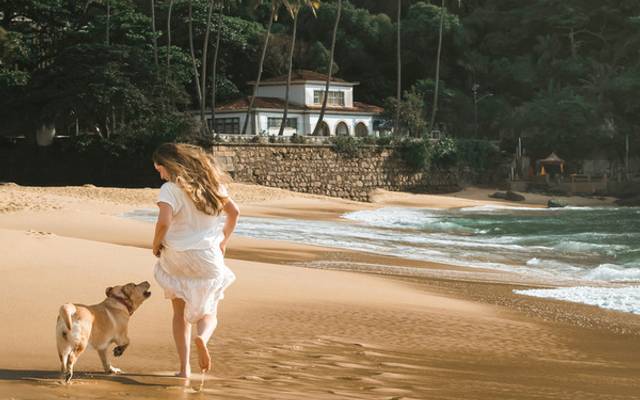 Minha Humana Favorita: Sobre o amor que não pede permissão para existir e que merece ser registrado 