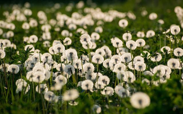 5 dicas de locais para fotografar
