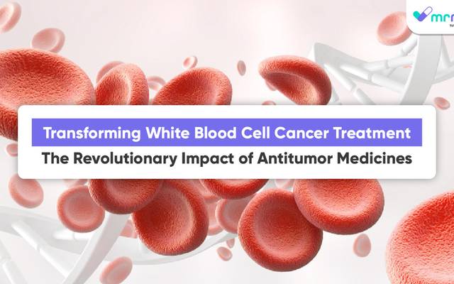 Transforming White Blood Cell Cancer Treatment: The Revolutionary Impact of Antitumor Medicines