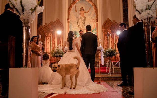 A história do cachorro que roubou a cena em um casamento