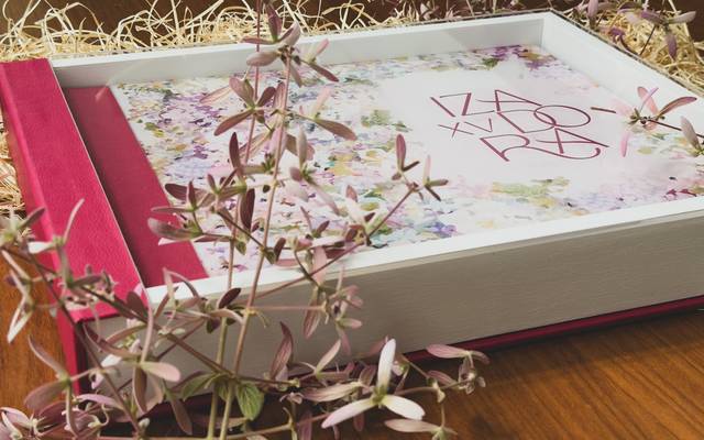 Portfólio de Álbuns para Debutantes