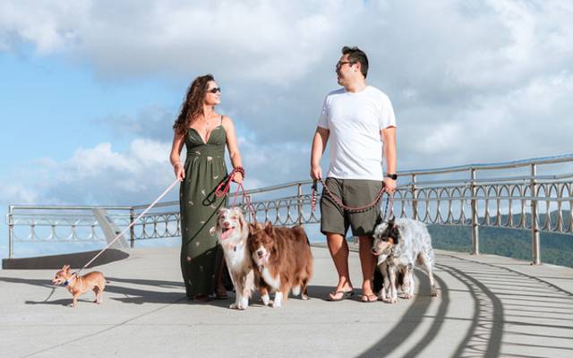 Ensaio Pet em Família na Praia de Santos | Emissário e Ponta da Praia