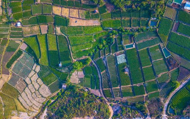 Seu terreno em risco? Saiba como se proteger de um processo de Usucapião