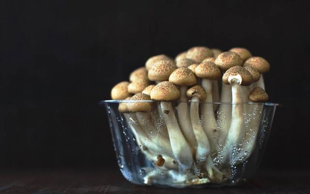 What You Need To Know Before Trying Magic Mushroom Tea