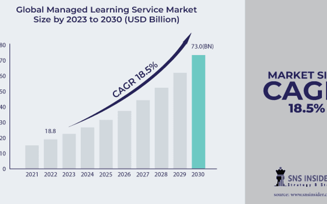  Managed Learning Service Market Size, Global Industry Analysis, Component and Forecast Analysis 2030