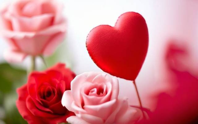 Las Mejores Frases para el 14 de Febrero Amistad: Demuestra tu Afecto