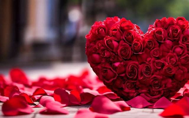 Frases para el 14 de Febrero Cortas: Dulces y Románticas