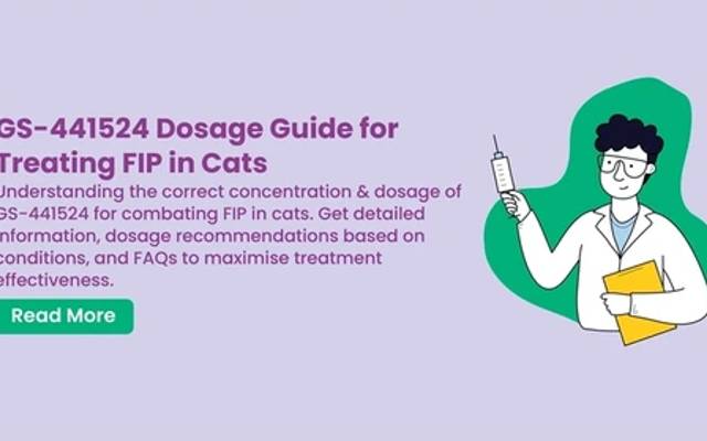 Finding a Reliable GS-441524 Supplier: What Every Cat Owner Needs to Know