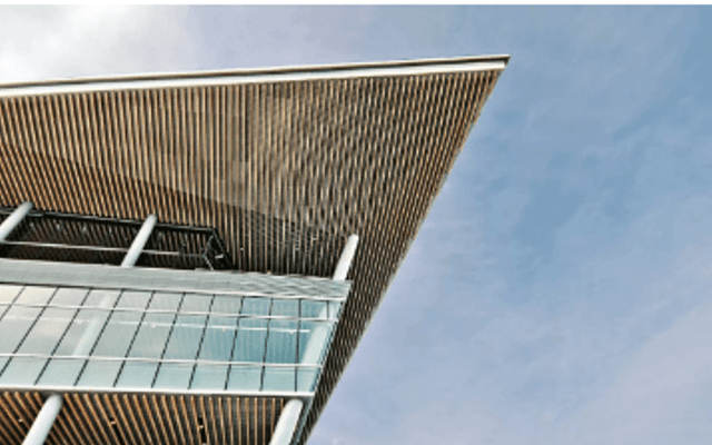 Understanding Einstein’s IQ, Hawk Tuah, and the 222 Angel Number