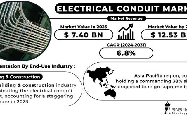In-Depth Market Share Analysis of Electrical Conduit: 2024-2031