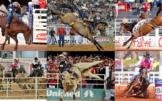 Conhecendo as modalidades dentro do Rodeio