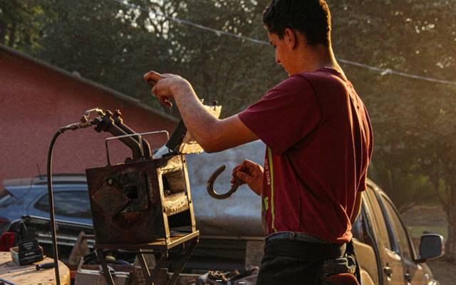 Ferraduras: Por Que Elas São Essenciais para a Saúde e Performance dos Cavalos?