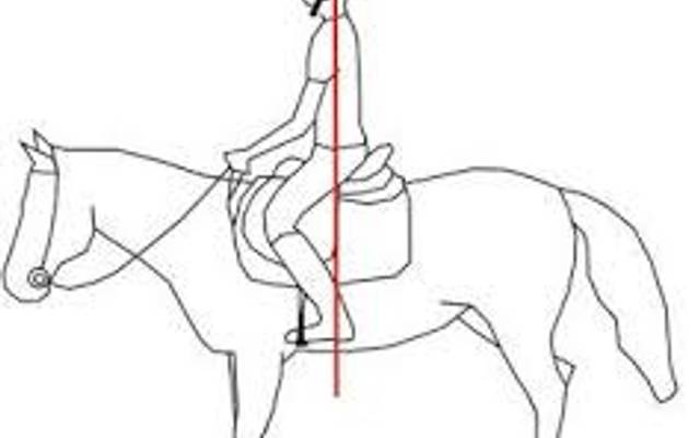 A base de uma competidora de sucesso, está na postura em cima do cavalo.