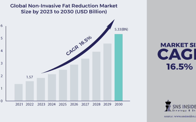 Non Invasive Fat Reduction Market Trends, Technologies, and Growth Prospects