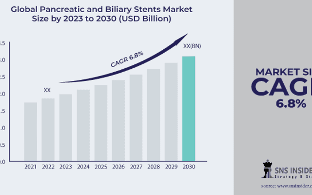 Pancreatic and Biliary Stents Market: Analysis of Pancreatic and Biliary Stents Market 2024