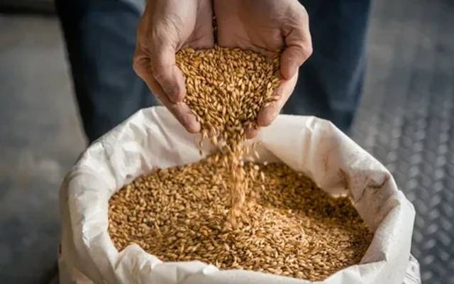 Specialty Malt Market Outlook, Share and Size : 2030