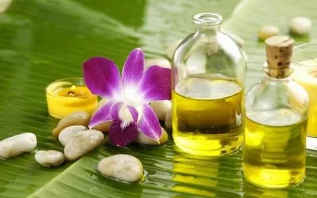 Frangipani Extract Market Volume Analysis, Segments - 2023 - 2030