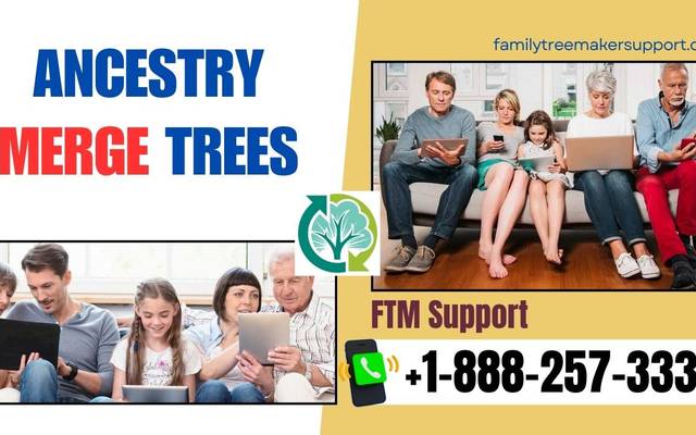 Ancestry Merge trees

