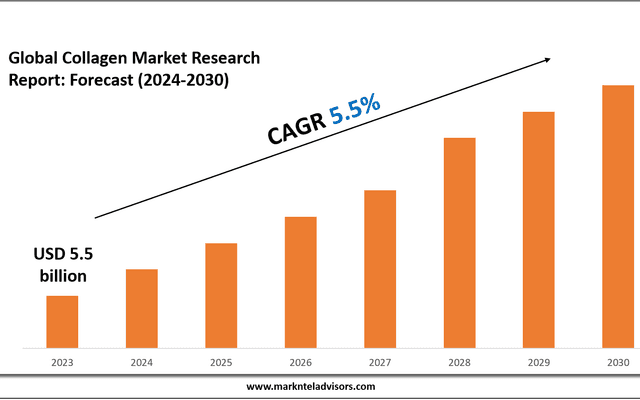 Top Companies in the Collagen Industry – Market Leaders: Amicogen, Darling Ingredients Inc.