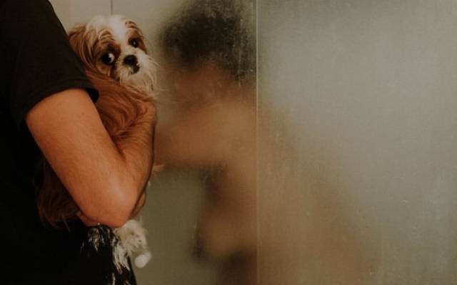 Chuveiro no Trabalho de Parto