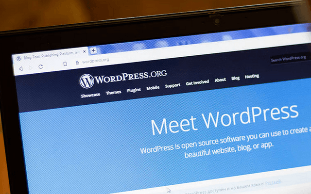 WordPress Support Plans: What's Worth Paying For in 2025? (The Definitive Guide)