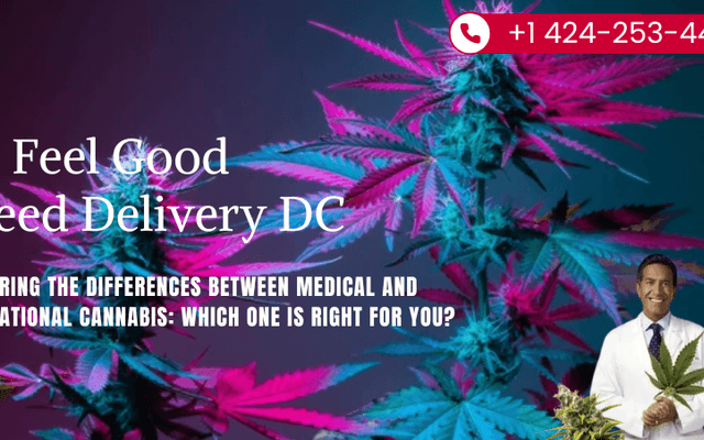 Exploring the Differences Between Medical and Recreational Cannabis: Which One is Right for You?