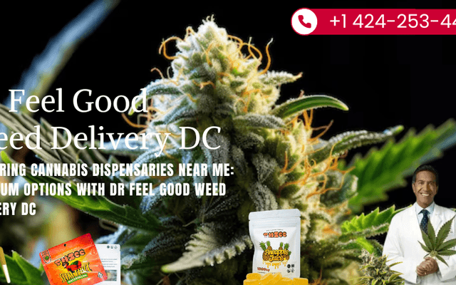 Exploring Cannabis Dispensaries Near Me: Premium Options with Dr Feel Good Weed Delivery DC